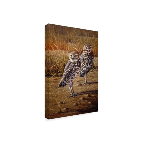 Wilhelm Goebel 'Burrowing Owls' Canvas Art,30x47